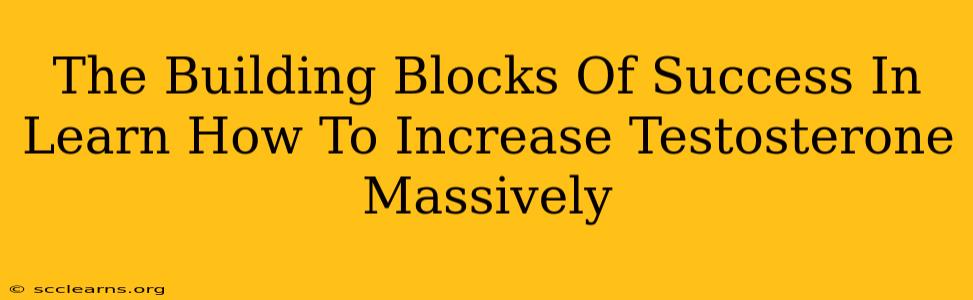 The Building Blocks Of Success In Learn How To Increase Testosterone Massively