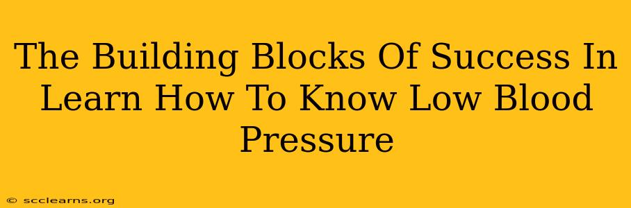 The Building Blocks Of Success In Learn How To Know Low Blood Pressure