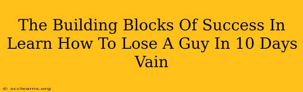 The Building Blocks Of Success In Learn How To Lose A Guy In 10 Days Vain