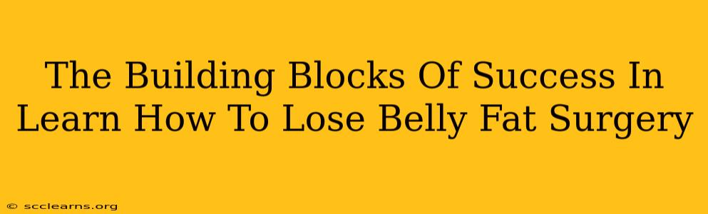 The Building Blocks Of Success In Learn How To Lose Belly Fat Surgery