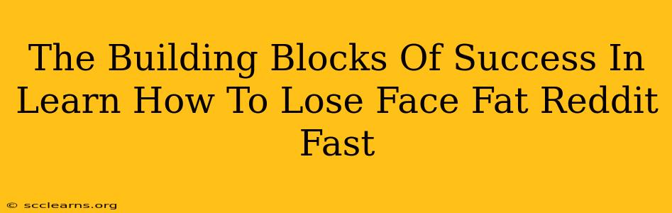 The Building Blocks Of Success In Learn How To Lose Face Fat Reddit Fast