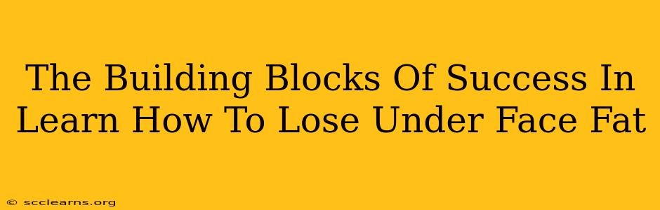 The Building Blocks Of Success In Learn How To Lose Under Face Fat