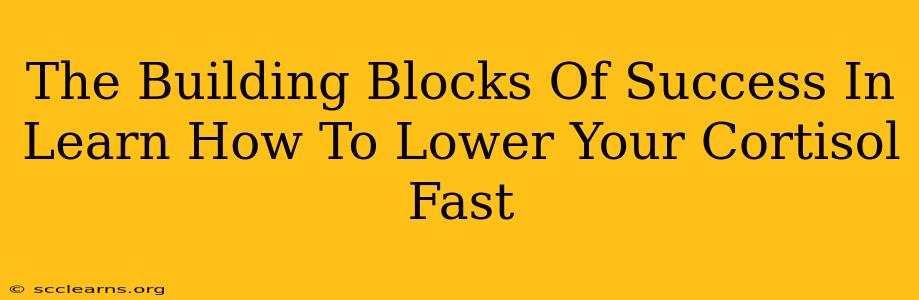 The Building Blocks Of Success In Learn How To Lower Your Cortisol Fast