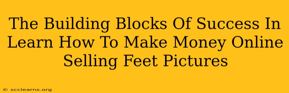 The Building Blocks Of Success In Learn How To Make Money Online Selling Feet Pictures