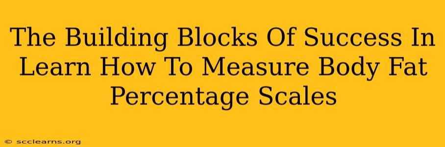 The Building Blocks Of Success In Learn How To Measure Body Fat Percentage Scales