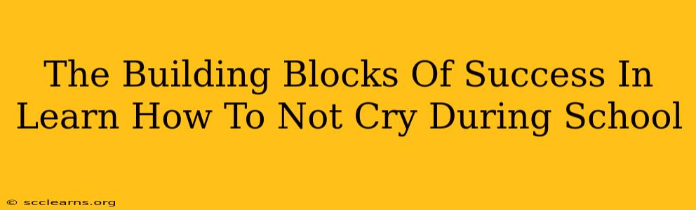 The Building Blocks Of Success In Learn How To Not Cry During School