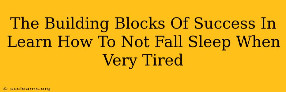 The Building Blocks Of Success In Learn How To Not Fall Sleep When Very Tired