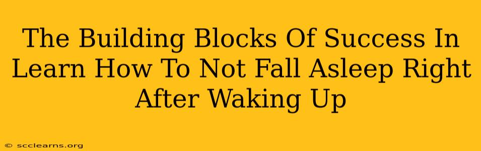 The Building Blocks Of Success In Learn How To Not Fall Asleep Right After Waking Up