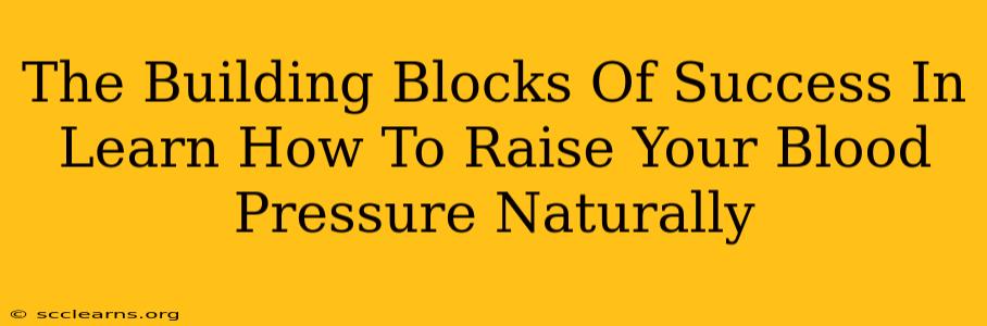 The Building Blocks Of Success In Learn How To Raise Your Blood Pressure Naturally