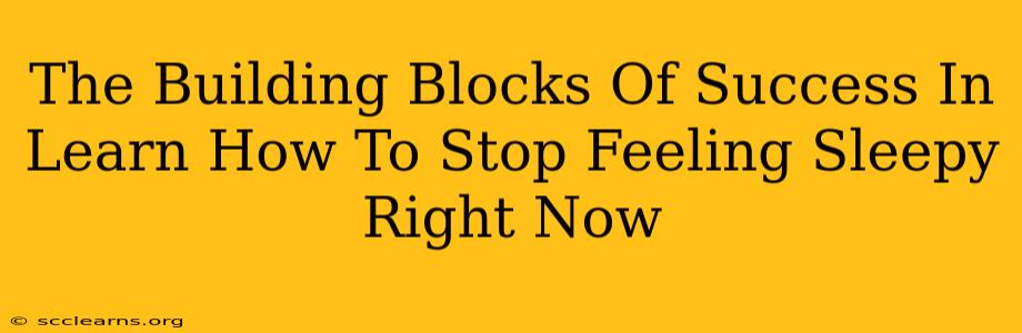 The Building Blocks Of Success In Learn How To Stop Feeling Sleepy Right Now