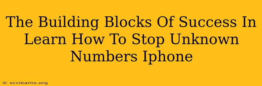 The Building Blocks Of Success In Learn How To Stop Unknown Numbers Iphone