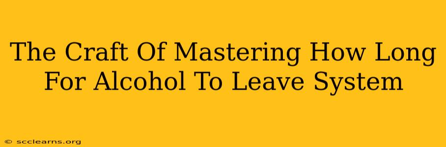 The Craft Of Mastering How Long For Alcohol To Leave System