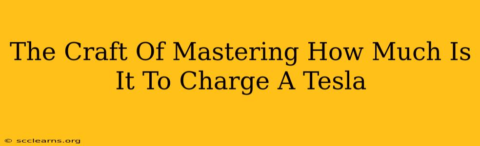 The Craft Of Mastering How Much Is It To Charge A Tesla