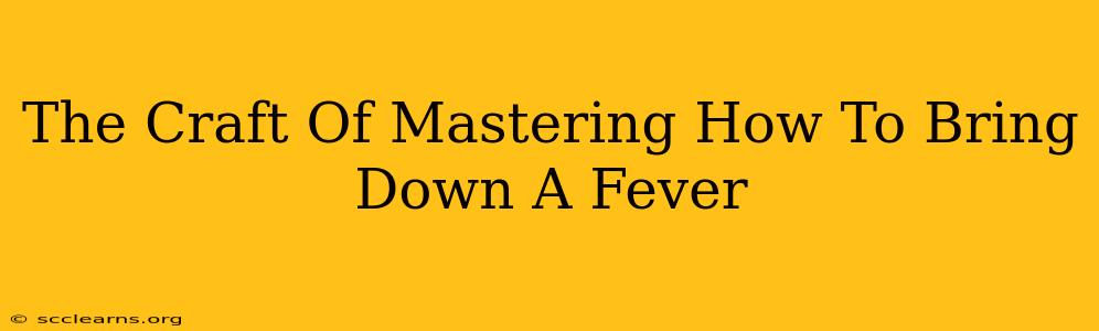 The Craft Of Mastering How To Bring Down A Fever