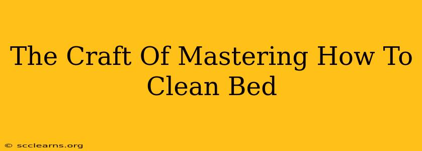 The Craft Of Mastering How To Clean Bed