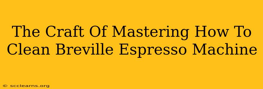 The Craft Of Mastering How To Clean Breville Espresso Machine