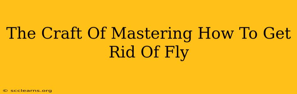 The Craft Of Mastering How To Get Rid Of Fly