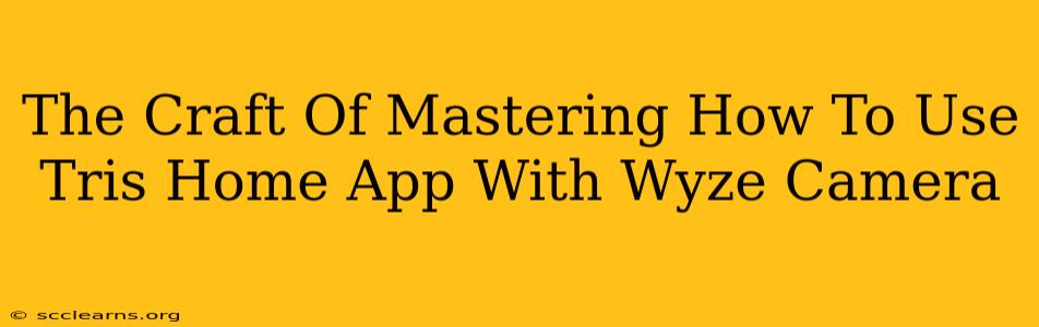 The Craft Of Mastering How To Use Tris Home App With Wyze Camera
