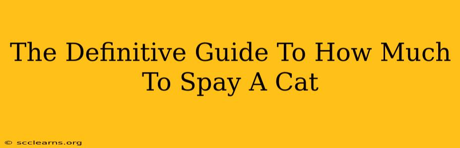 The Definitive Guide To How Much To Spay A Cat