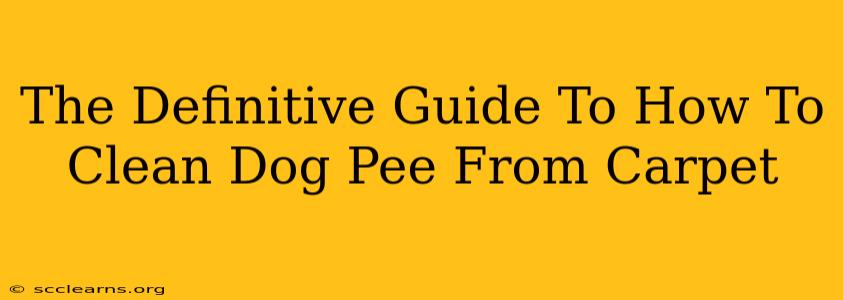 The Definitive Guide To How To Clean Dog Pee From Carpet