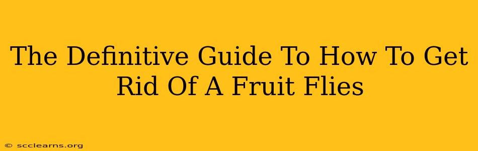 The Definitive Guide To How To Get Rid Of A Fruit Flies