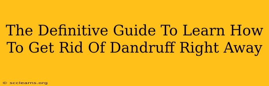 The Definitive Guide To Learn How To Get Rid Of Dandruff Right Away