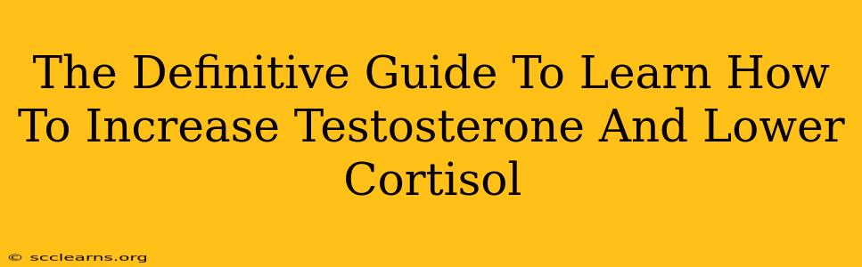 The Definitive Guide To Learn How To Increase Testosterone And Lower Cortisol