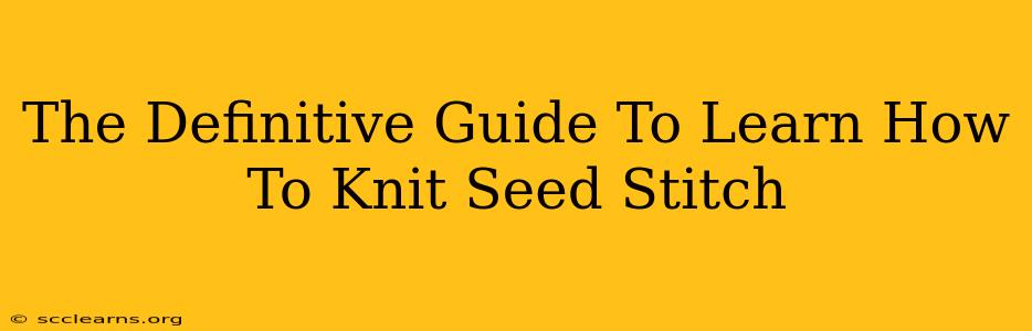 The Definitive Guide To Learn How To Knit Seed Stitch