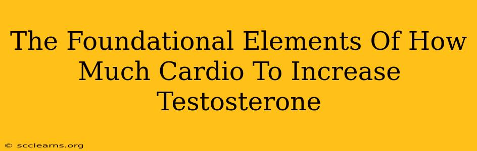 The Foundational Elements Of How Much Cardio To Increase Testosterone