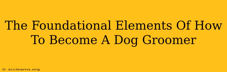 The Foundational Elements Of How To Become A Dog Groomer