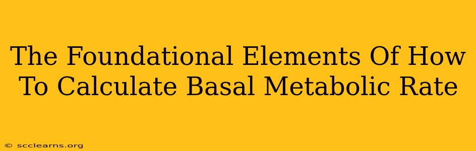 The Foundational Elements Of How To Calculate Basal Metabolic Rate