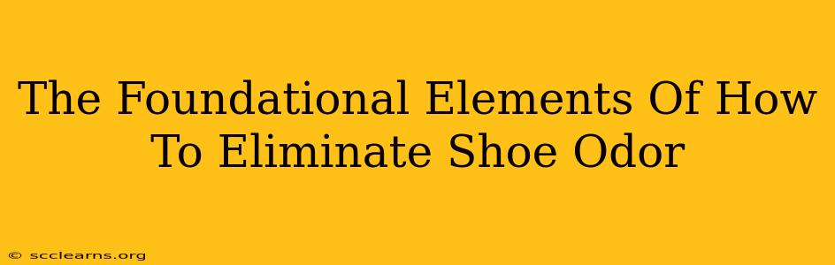 The Foundational Elements Of How To Eliminate Shoe Odor