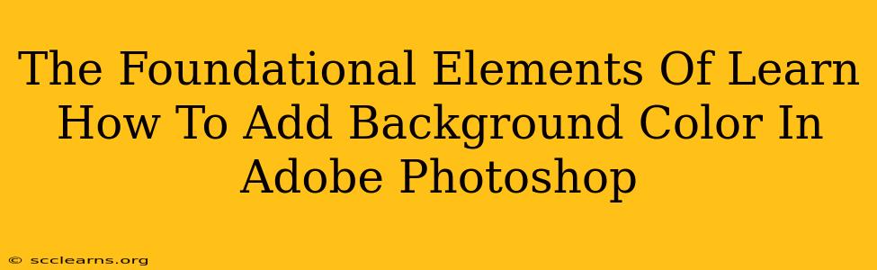 The Foundational Elements Of Learn How To Add Background Color In Adobe Photoshop