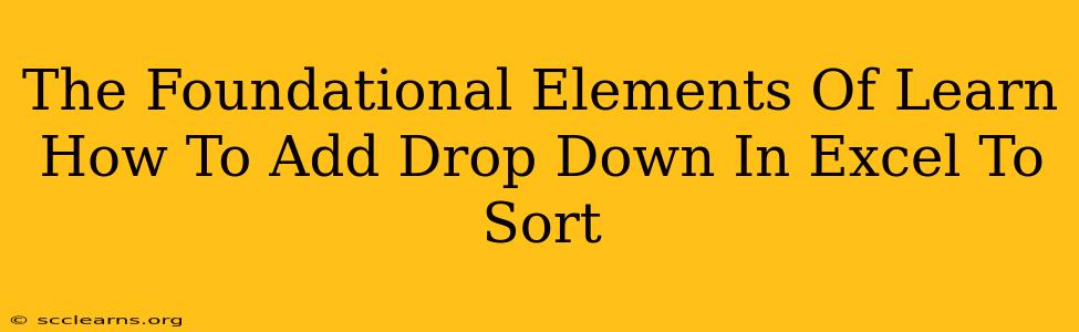 The Foundational Elements Of Learn How To Add Drop Down In Excel To Sort