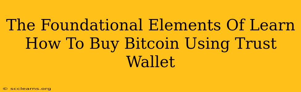 The Foundational Elements Of Learn How To Buy Bitcoin Using Trust Wallet