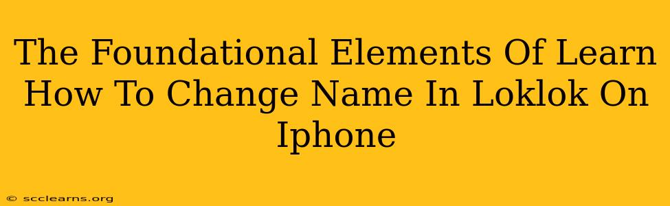 The Foundational Elements Of Learn How To Change Name In Loklok On Iphone