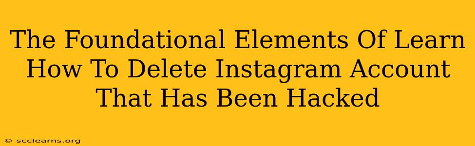 The Foundational Elements Of Learn How To Delete Instagram Account That Has Been Hacked