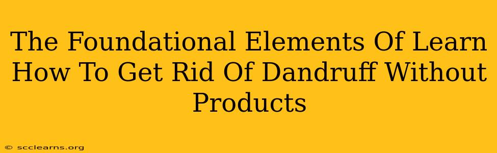 The Foundational Elements Of Learn How To Get Rid Of Dandruff Without Products