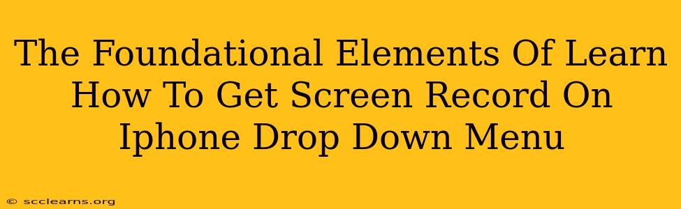 The Foundational Elements Of Learn How To Get Screen Record On Iphone Drop Down Menu