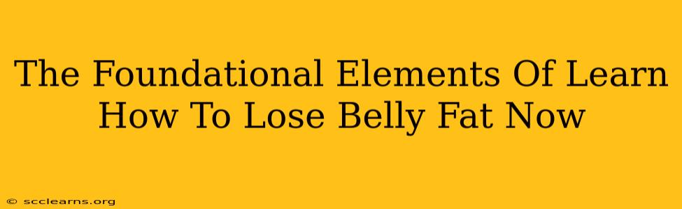 The Foundational Elements Of Learn How To Lose Belly Fat Now