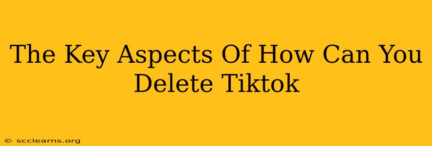 The Key Aspects Of How Can You Delete Tiktok