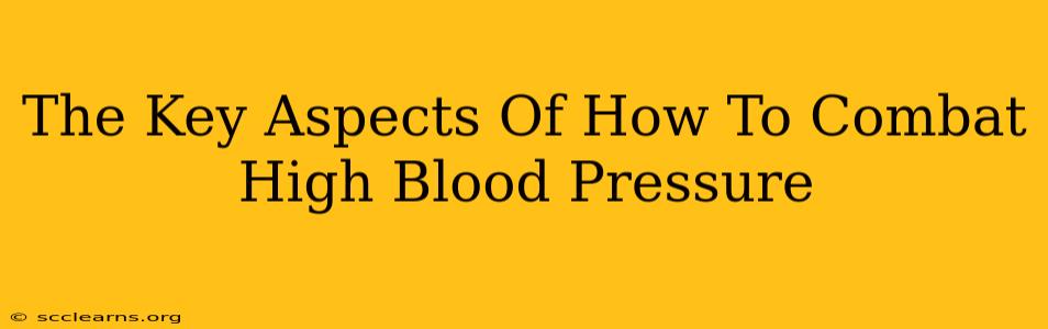 The Key Aspects Of How To Combat High Blood Pressure