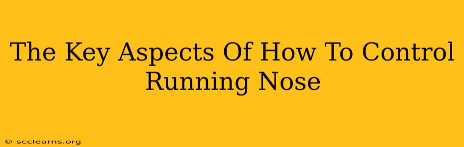 The Key Aspects Of How To Control Running Nose