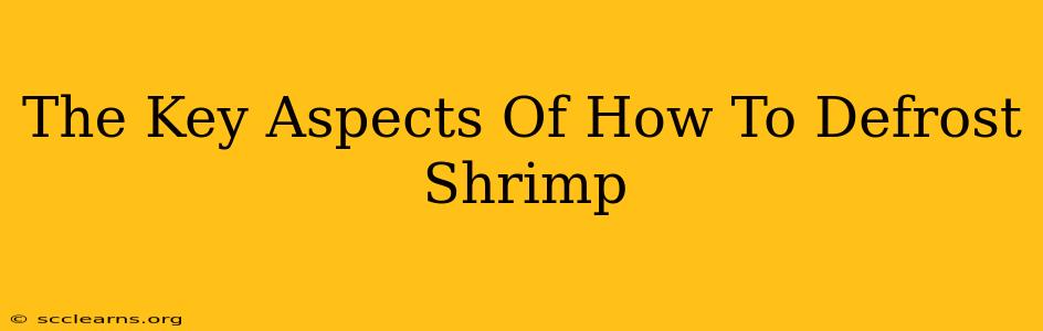 The Key Aspects Of How To Defrost Shrimp