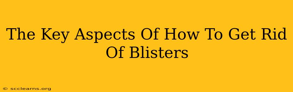 The Key Aspects Of How To Get Rid Of Blisters