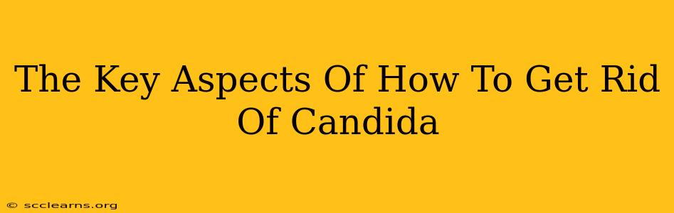 The Key Aspects Of How To Get Rid Of Candida