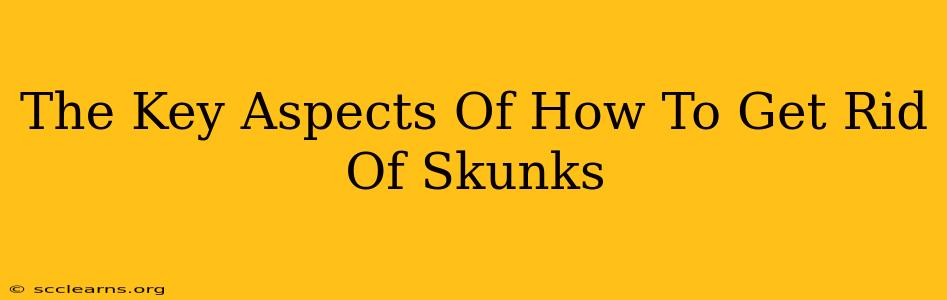 The Key Aspects Of How To Get Rid Of Skunks