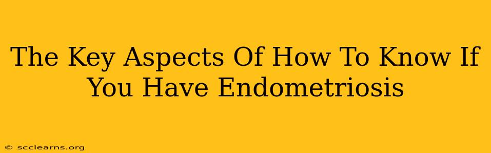 The Key Aspects Of How To Know If You Have Endometriosis