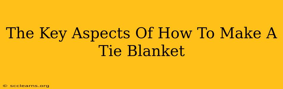 The Key Aspects Of How To Make A Tie Blanket