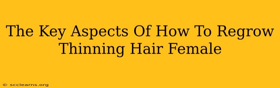 The Key Aspects Of How To Regrow Thinning Hair Female